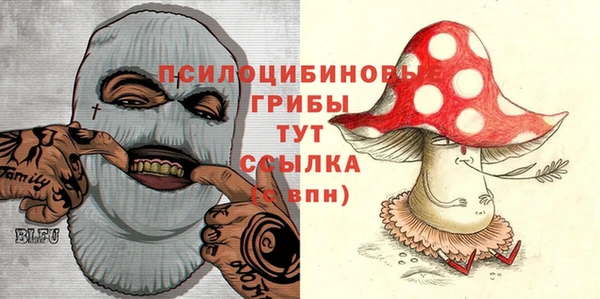 СК Абаза