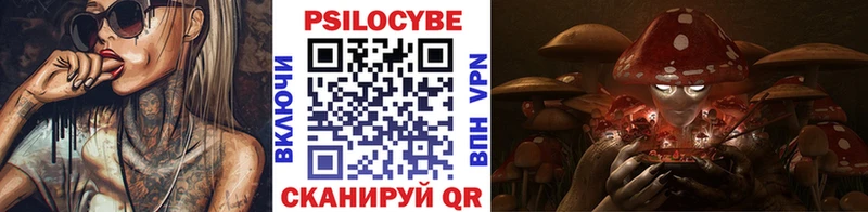мега ССЫЛКА  Торопец  Псилоцибиновые грибы Magic Shrooms 